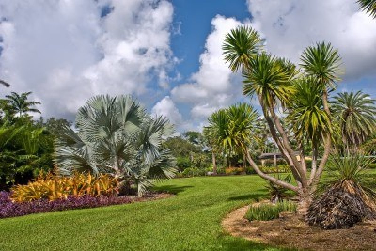 Ботанический сад “Fairchild Tropical Botanic Garden”
